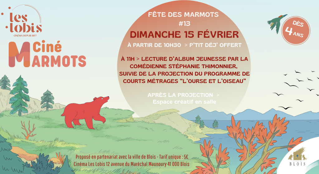 actualité marmot 15/02