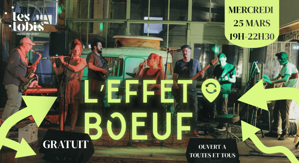 actualité effet boeuf