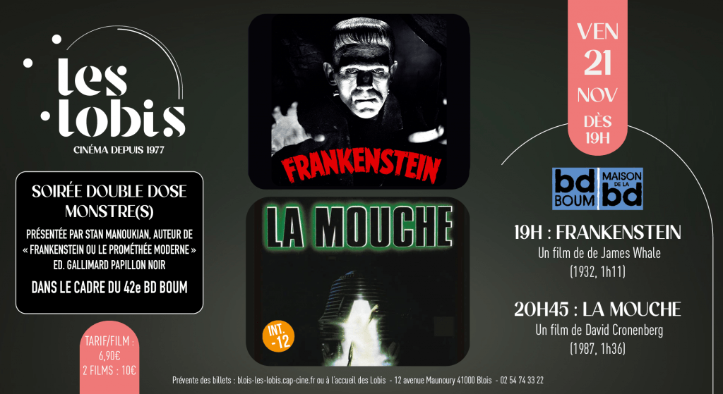 actualité DD BD boom